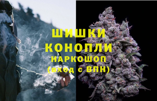 прущие грибы Алзамай