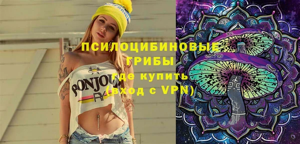 прущие грибы Алзамай