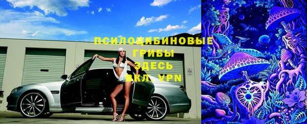 тгк Алексин