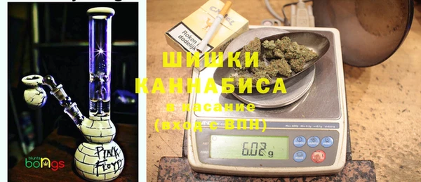 прущие грибы Алзамай